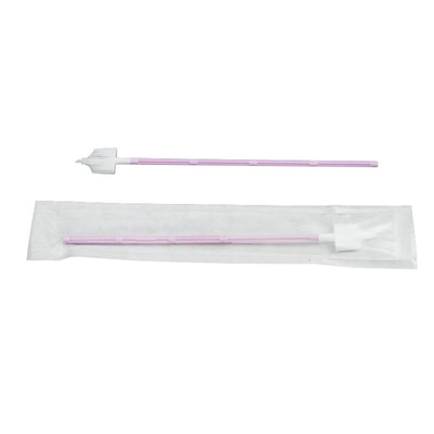 Good price Disposable Medical Vaginal Cervical Sampling Brush Cytology Cervical Swab Brush online